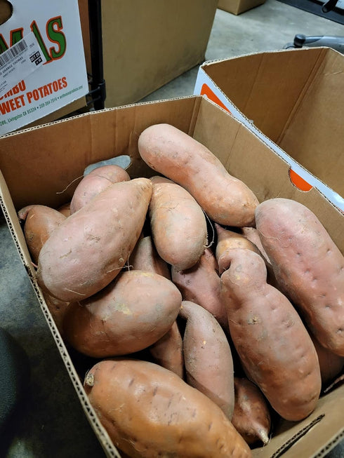 Farm Fresh 20lbs NC Sweet Potatoes Appx