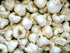 (3 Bulbs)untreated, California White Garlic, for Planting Large Heirloom Organic!