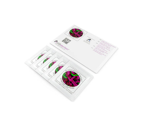 Pack 5 Yogurt Starter Cultures - of Freeze-dried Culture Sachets for Acidophilus Yogurt
