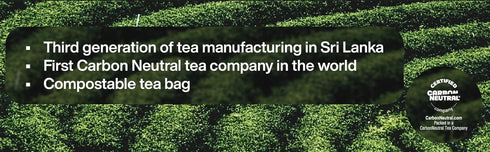 Elephant Park 25 Premium Sweet Honey Black Tea Individually Wrapped Bags Triple Infused with Real Honey Robust