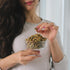 1LB Nichols Farms Organic No Shell California Pistachios, Healthy Protein Snack, Roasted Sea Salt
