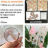 ALISSAR New Double Sided Rose Gold Butterfly Baby Shower Cake Topper Set, It's A Girl Cake Topper & 16 Pink Butterflies