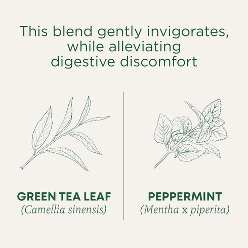 (Pack 1) 16 Traditional Medicinals Organic Green Tea Peppermint Herbal Tea, Alleviates Digestive Discomfort, of - Tea