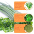 UpBots 17.63oz. Green Onion Powder seasoning Scallion Powder for Seasonings, spices, barbecue seasonings