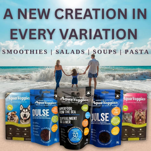 2oz(Pack 1) B12, Aqua Veggies Organic Whole Leaf Dulse of Atlantic Seaweed, Sun-Dried & Hand-Harvested Rich in Iodine