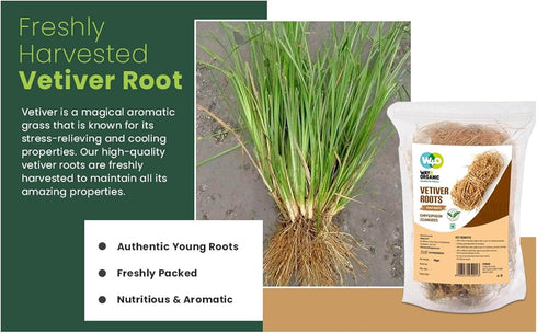 WAY 4 ORGANIC W4O (50 Way4Organic (1 Pack) Vetiver Root/Dried Khus-Khus/Vetiveria Zizanioides Grams), Young Roots Not