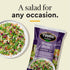 Taylor Farms 12.87 OZ Wedge Style Chopped Salad Kit