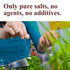 1 lb. The Spice Way Garlic Salt - - seasoning salt blend