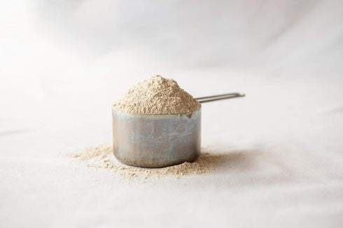 (10 lb), Homestead Gristmill Non-GMO, Chemical-Free, All-Natural Stone-ground Sifted Red Wheat Flour Artisanally Milled