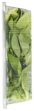 9 OZ GOTHAM GREENS Butterhead Salad