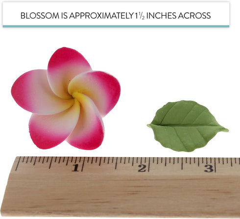 24 Count Count Global Sugar Art Tropical Frangipani Plumeria Edible Sugar Flower Blossoms, Wedding Cake & Cupcake