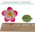 24 Count Count Global Sugar Art Tropical Frangipani Plumeria Edible Sugar Flower Blossoms, Wedding Cake & Cupcake