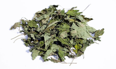 Dried Epazote Leaves and stems, Hojas de Epazote con ramas, Natural Mexican Herbs 2 oz and 4 oz (2)