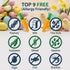 24 Rimming, Pk Carrot-Shaped Powder Candy, Apple, Orange & Strawberry Flavor Candy Powder for Dipping with Lollipops
