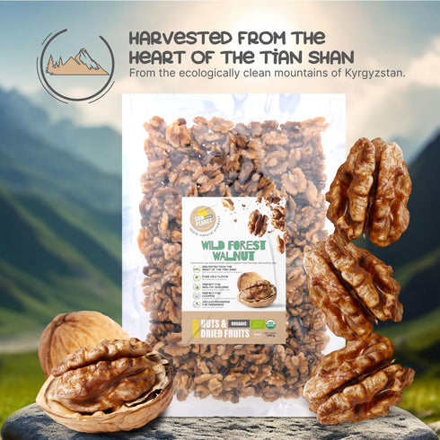 1.1 lb (500 Packed, SUN PLANET Walnut Halves, Raw Unsalted Shelled Walnuts Organic, g), Vacuum Fresh Nuts for Baking
