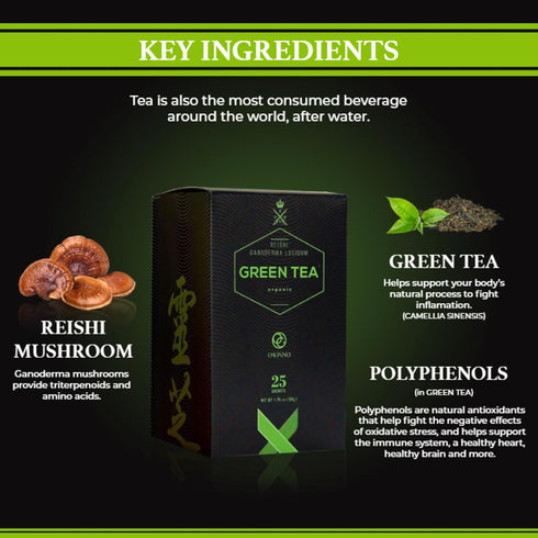 (1 25 ORGANO Green Tea with Ganoderma Lucidum Box of Sachets)