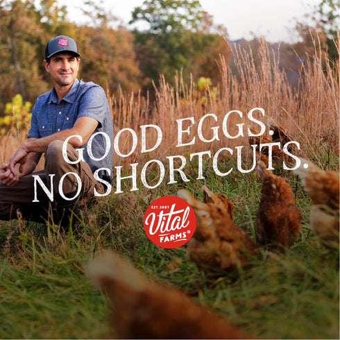 18 Count Vital Farms, Eggs Pasture Raised Large
