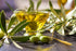 (500mL) Mythology Greek Extra Virgin Olive Oil - PDO Kolymvari Chania Crete
