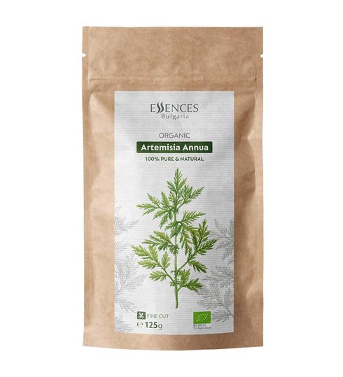 Essences Bulgaria Organic Sweet Wormwood (Artemisia Annua) | Dried Herb 4.4 Oz