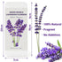 80+ Edible Lavender Sprigs for Drinks & Cocktails, Culinary Grade Purple Lavender Sticks for Baking, Tea, Cake