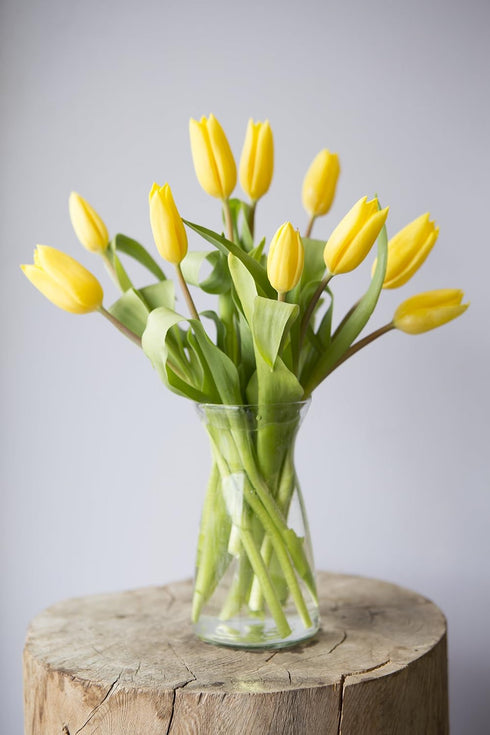 Blooms2Door 10 - Bouquet of Yellow Tulips (Farm-Fresh) with Vase - Fresh Flowers for Birthday, Valentine's & Mother's