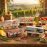 Set, 1.3 oz Pack 4 ARTIGIANI DEI SAPORI - Bruschetta each, Tomato Chopped, Artichokes, Sun-Dried Tomato, Smooth