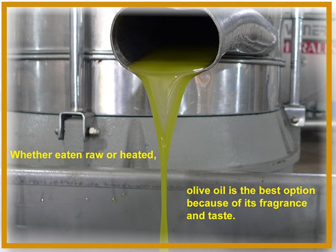 1 Ancient Tree Olive Oil Extra Virgin Cold Pressed, Unfiltered Imported Lebanon Liter