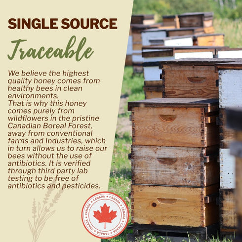 100% 1.1 lbs, Oneroot Canadian Wildflower Honey - Unheated & Creamed - Nutrient-Rich, Natural Sweetener with Enzymes
