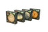Pack Grilled Catch Canned Fish Variety Wild Caught Mackerel, Grilled Salmon, Yellowfin Tuna & Herring in Olive Oil