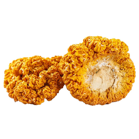 4oz) Dried Golden Jelly Fungus, Wild Mushrooms, Gift of nature, Delicious treasures from the mountains, Pure natural