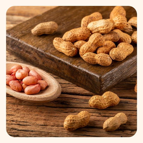 Wellsley Farms 5 lb Salted Roasted Peanuts In Shell, USA Grown Whole, Non-GMO, Gluten-Free, Vegan, Cholesterol-Free