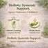 4 oz (113g) 100% Ajenjo Herbal Tea Natural Mexican Herb Wildcrafted Wormwood Vegan, Non-GMO Loose Leaf Herbal Infusion