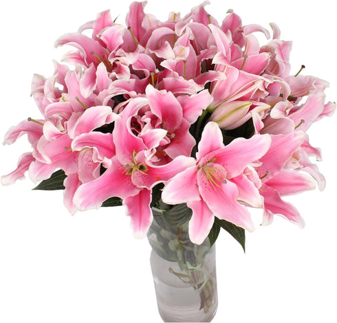10 Stem Pink Giant Lilies Fresh Cut Flower Bouquet Very Fragrant Gifts