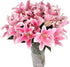 10 Stem Pink Giant Lilies Fresh Cut Flower Bouquet Very Fragrant Gifts