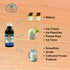 Deiman D-15 (4 oz) Artificial Food Flavoring Pistachio Concentrate fl