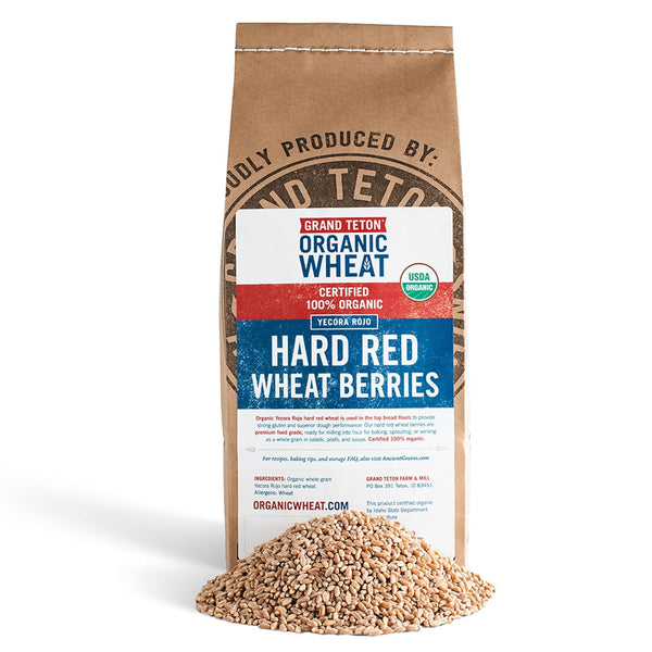 Yecora Rojo Hard Red Wheat Berries by Grand Teton Organic Wheat |