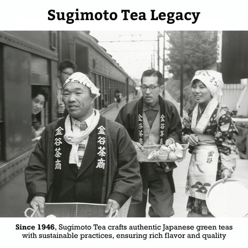 SUGIMOTO TEA Japanese Sencha Green Tea Loose Leaf, 3.5 oz (100 g), Pack of 1