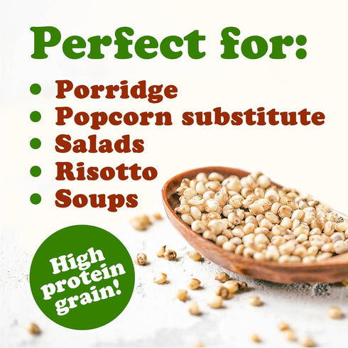 6 Food to Live Organic Great Plains White Sorghum Grain, Pounds Whole Ancient Groats. High Fiber. No-GMO. Raw Milo