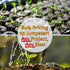 5 Lb Organic Hulled (Husk Removed) Seeds: - Non-GMO Cereal Grain - Make Millet Beer, Grind Millet Flour, Cereal, Bird
