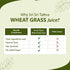 1L Sri Sri Tattva Wheat Grass Juice - Daily Fitness Essential