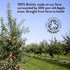 Willy's Organic Apple Cider Vinegar with Mother - Detox Probiotics for Gut Wellness