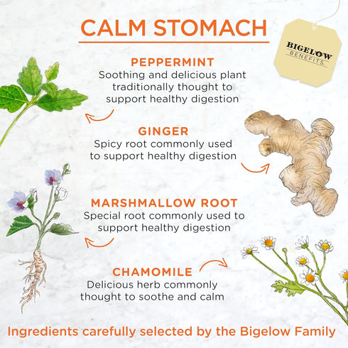 18 Count (Pack 6), 108 Bigelow Tea Benefits Calm Stomach Ginger Peach Herbal Tea, Caffeine Free, of Total Tea Bags