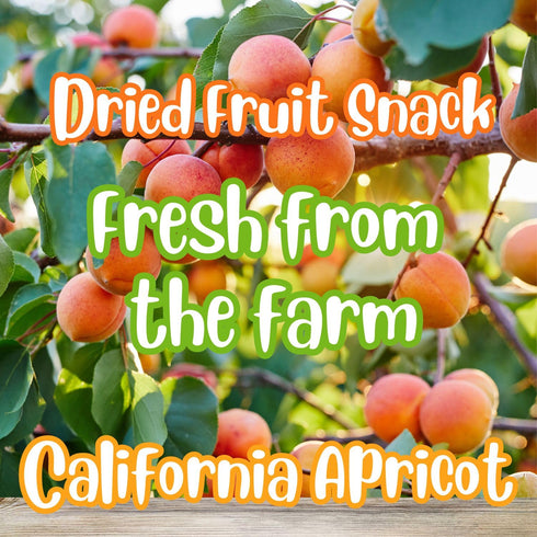 1Lb California Dried Apricots by Its Delish, Bag | Fancy Apricot Dried Fruit | Naturally Sweet & Tangy Healthy Snack