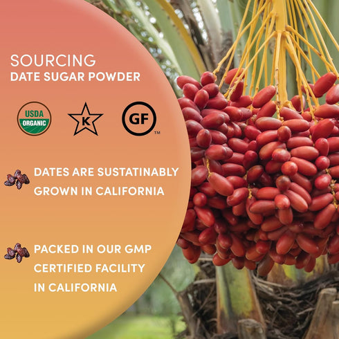 1 100% Worldwide Botanicals Organic Date Sugar Fine Powder, Pound - Pure Dried Dates, Natural Whole Food Sweetener