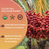 1 100% Worldwide Botanicals Organic Date Sugar Fine Powder, Pound - Pure Dried Dates, Natural Whole Food Sweetener
