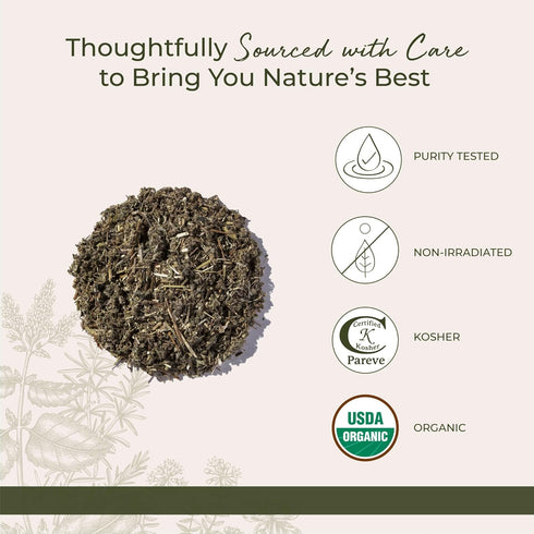 1 lb Starwest Botanicals Organic Mugwort Herb - Dried Loose Leaf Herb for Tea & Culinary Use, Cut & Sifted, Certified