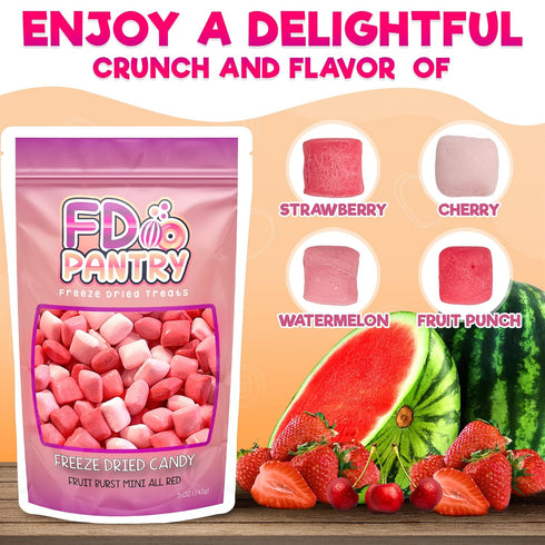 5oz Freeze Dried Fruit Bursts Candy - Mini All Reds l Hard Candy Mix Treat Snack Gift Bag Strawberry, Fruit Punch