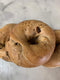 Generic 6 Fresh New Jersey Cinnamon Raisin Bagels