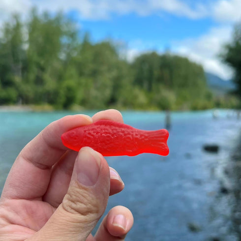 Gummy 5 lb SWEDISH FISH Soft & Chewy Candy, Bulk Candy