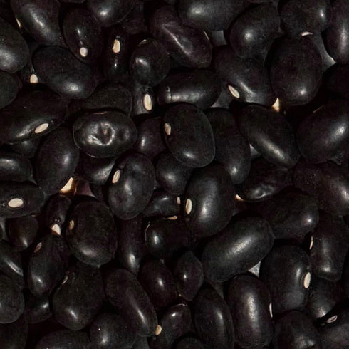 Immune-Boosting 12 oz SIMPLi Regenerative Organic Certified Black Beans, Creamy and Rich Flavor, Vitamin C
